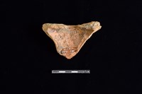 連杯形器藏品圖，第2張